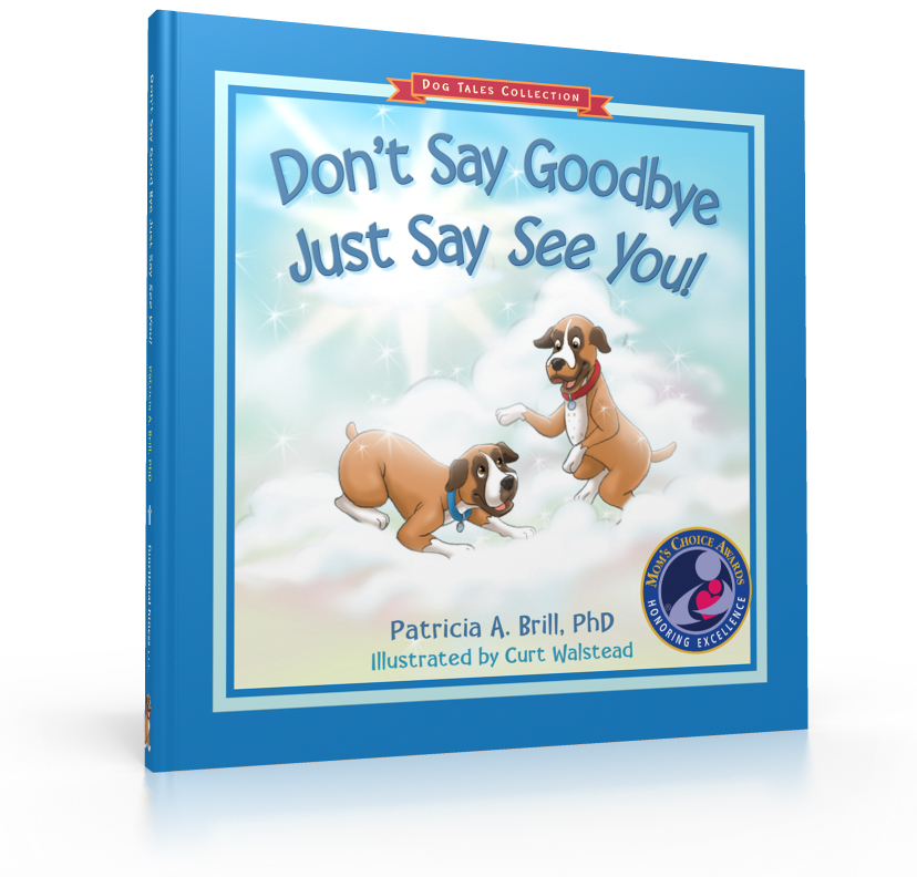 Cover image of Don’t Say Good Bye Just Say See You!