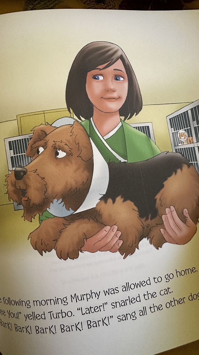 Book page example